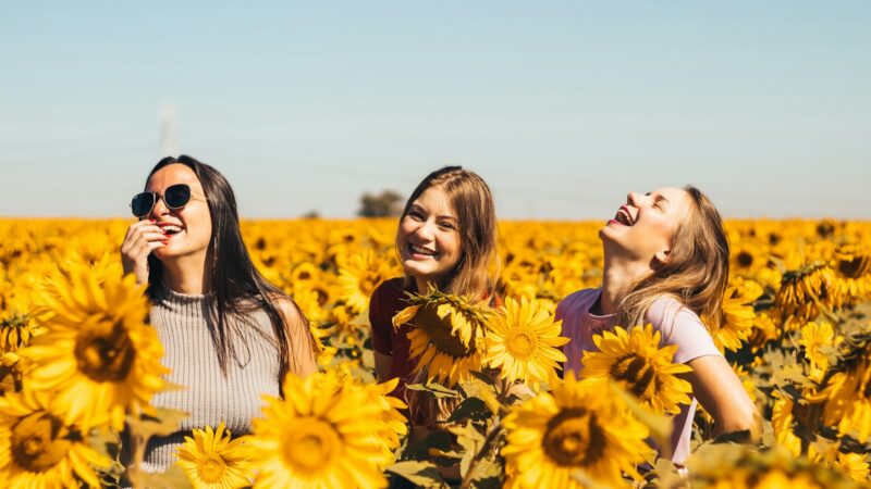 Estudo bíblico para adolescentes. Fruto do Espírito: Paz 