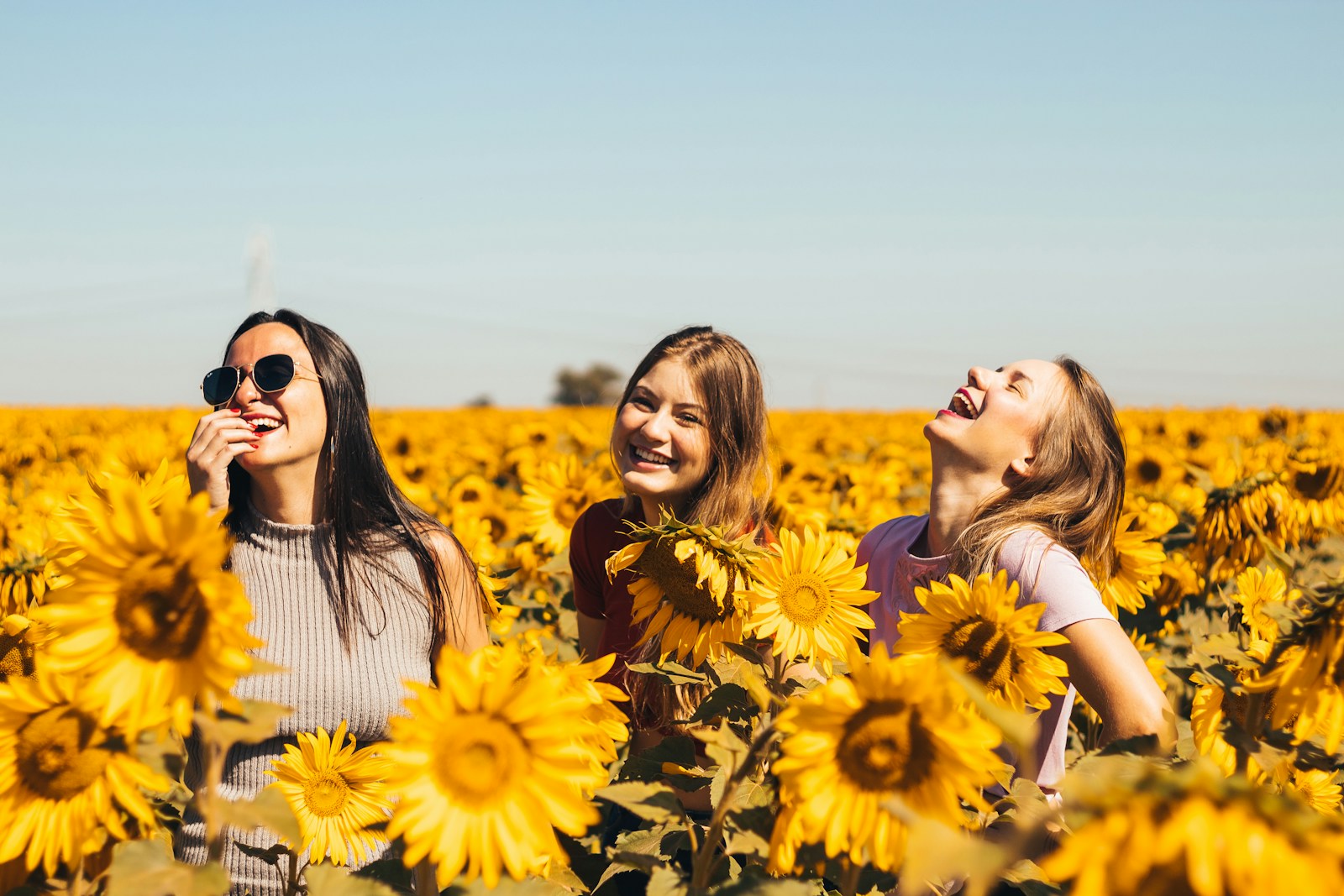 Estudo bíblico para adolescentes. Fruto do Espírito: Paz 