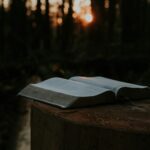 biblia aberta, bíblia sagrada, estudo atos 17